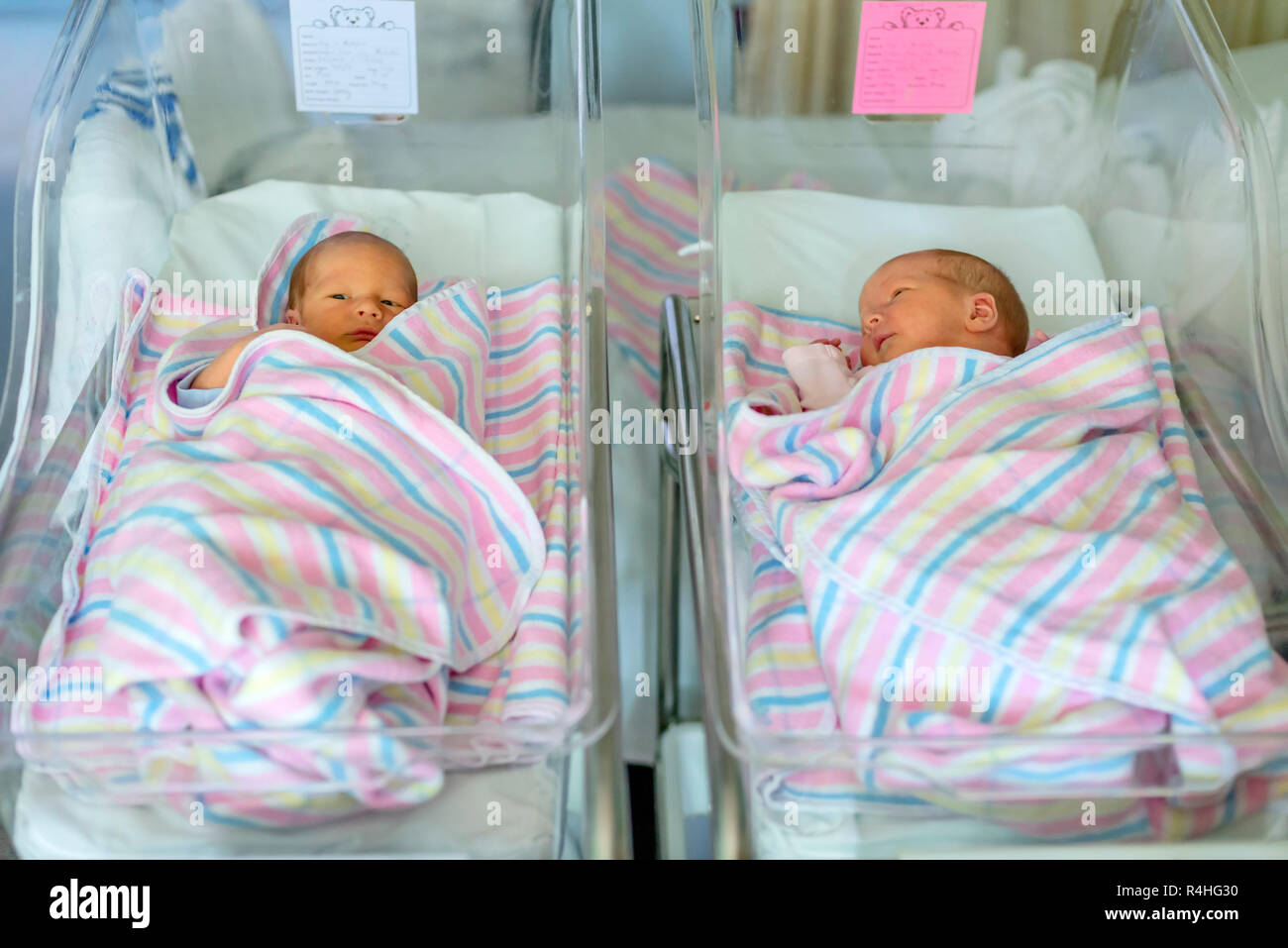 Gemelos recién nacidos fotografías e imágenes de alta resolución - Alamy