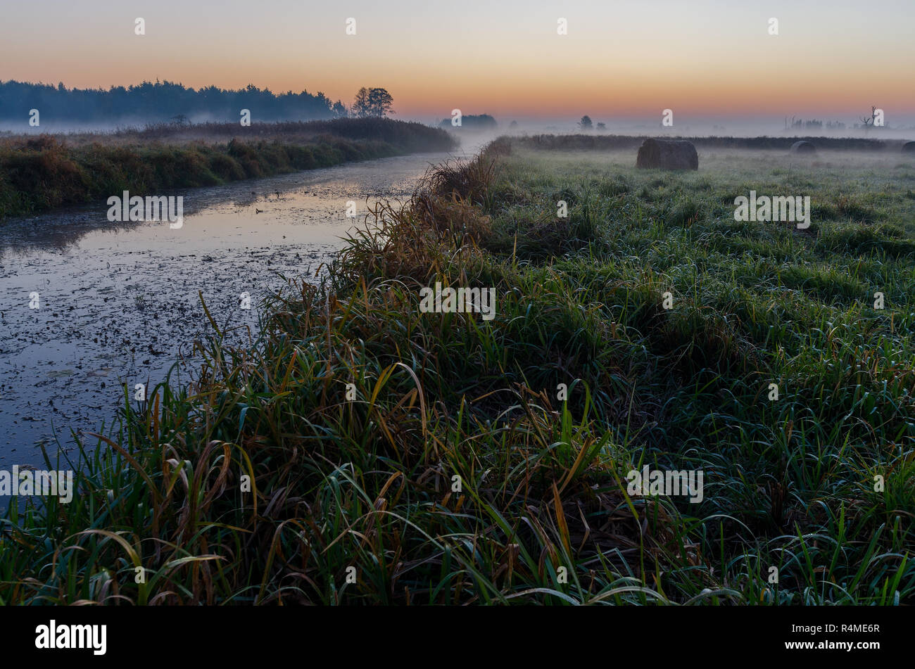 Amanecer otoñal a mediados de forest meadow. Lasocin, Polonia, Mazovia provincia. Foto de stock