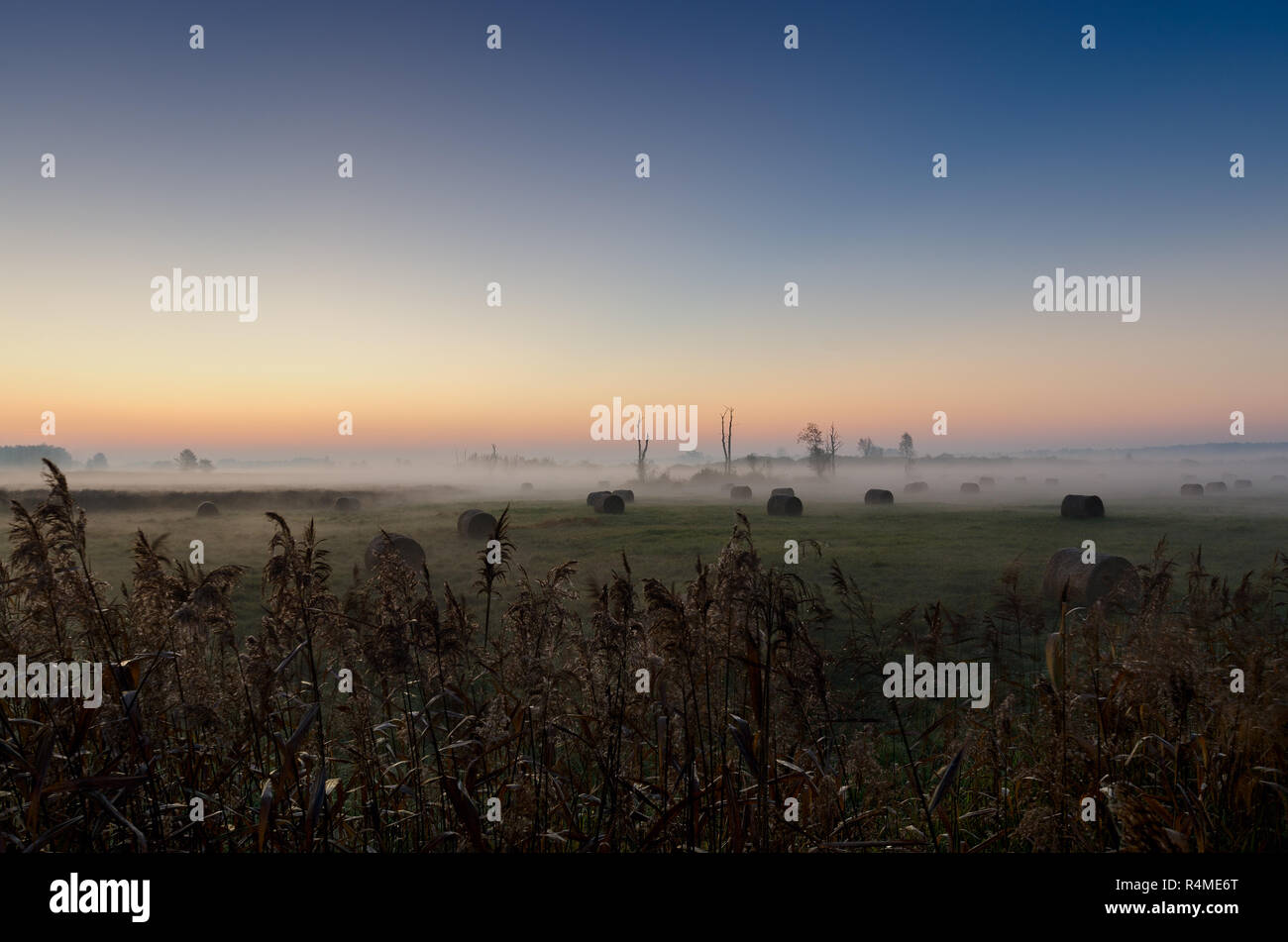 Amanecer otoñal a mediados de forest meadow. Lasocin, Polonia, Mazovia provincia. Foto de stock