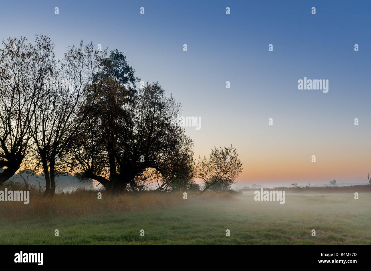 Amanecer otoñal a mediados de forest meadow. Lasocin, Polonia, Mazovia provincia. Foto de stock