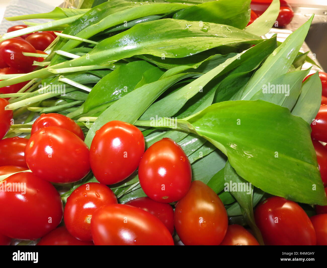 Recién lavada ajo silvestre (Allium ursinum) y tomates uva Foto de stock