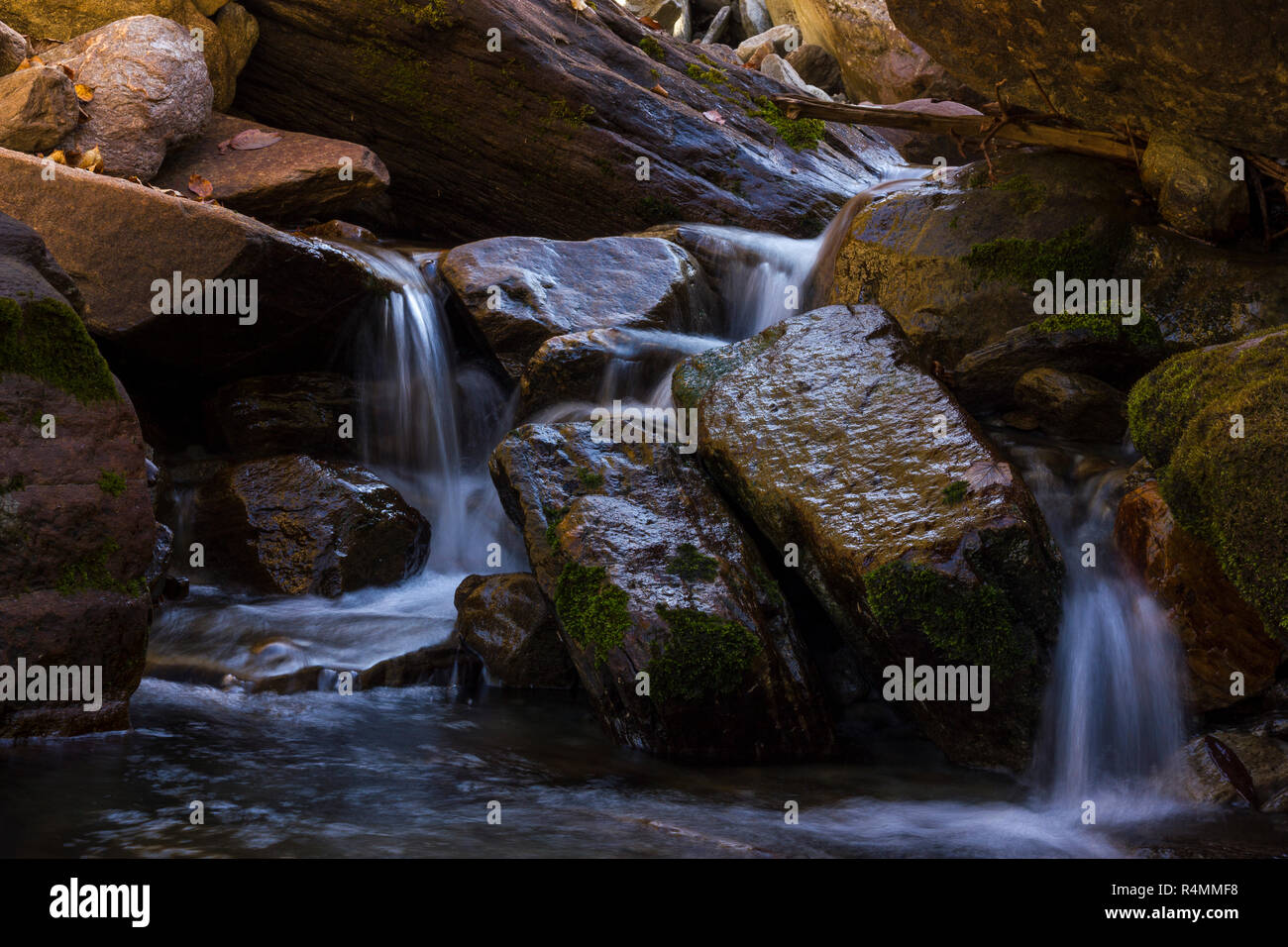 Agua corriente durante un trekking de deoria chopta a Talía, Uttarakhand Foto de stock