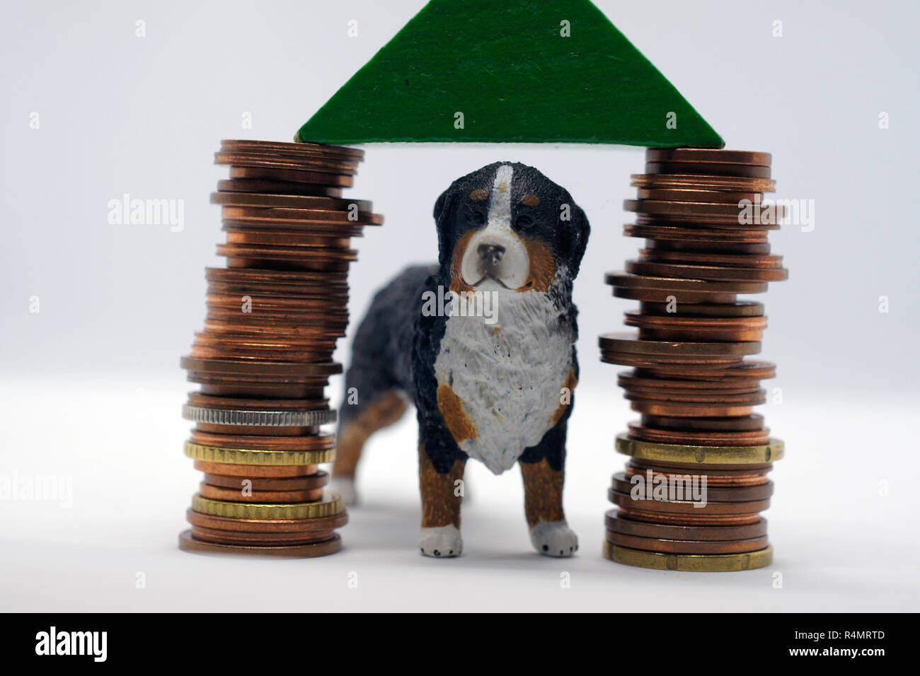Perro en casa propia basada en la pila de monedas Foto de stock
