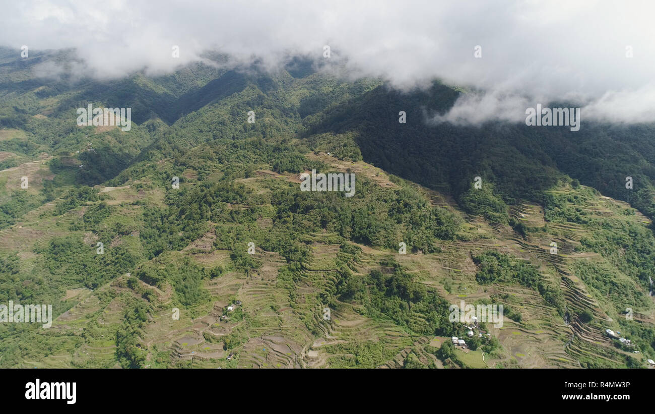 Vista aérea de arrozales en terrazas en las laderas de las montañas