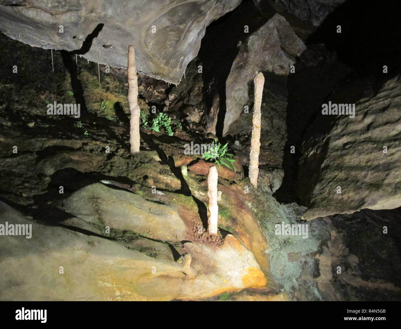 Las estalactitas y estalagmitas en un cársticos cueva en las montañas suizas. Beatushöhle, Beatenberg. Foto de stock