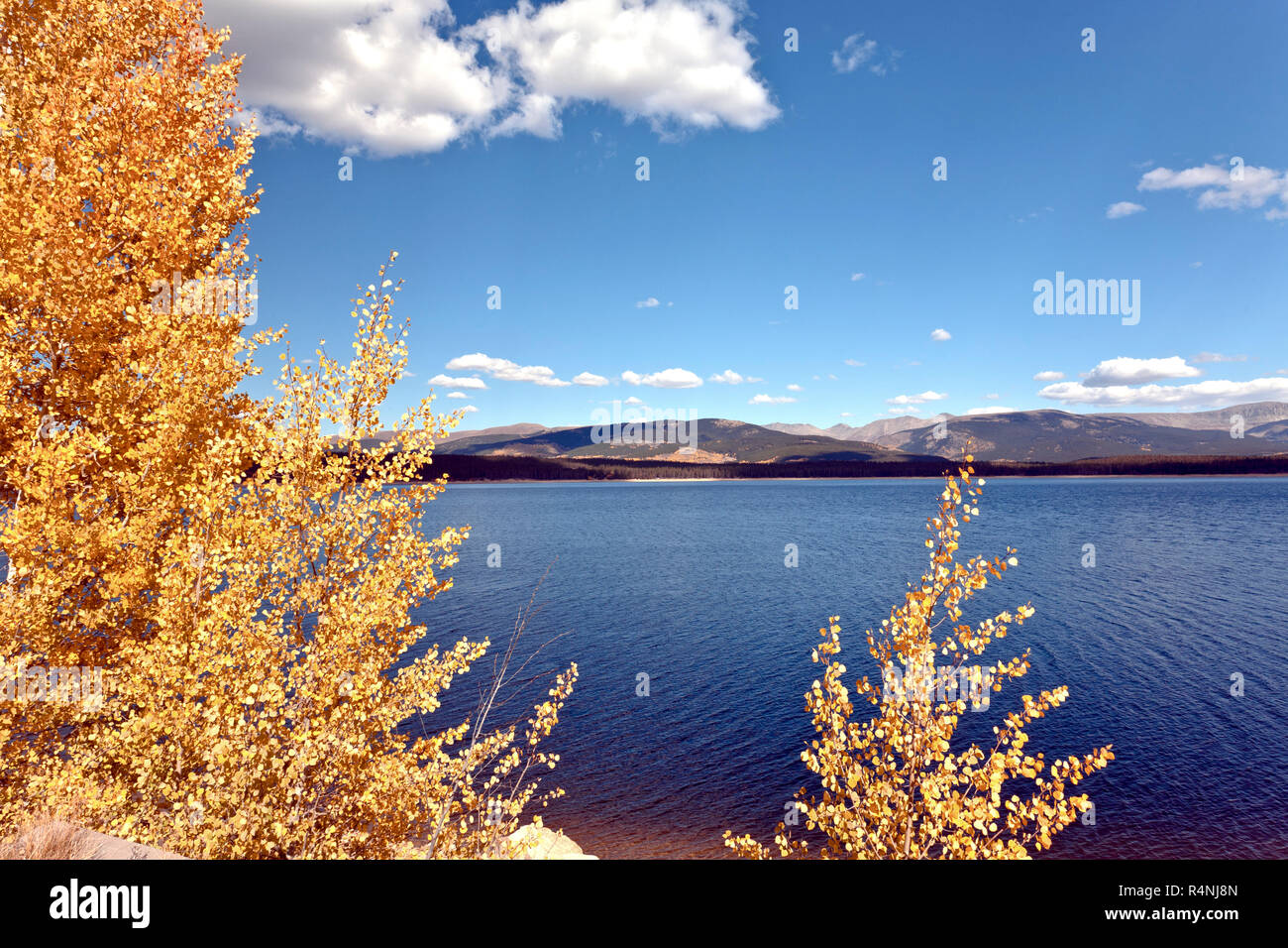 Vista panorámica del lago Turquesa y árboles en otoño, Leadville, Lake County, Colorado, EE.UU. Foto de stock