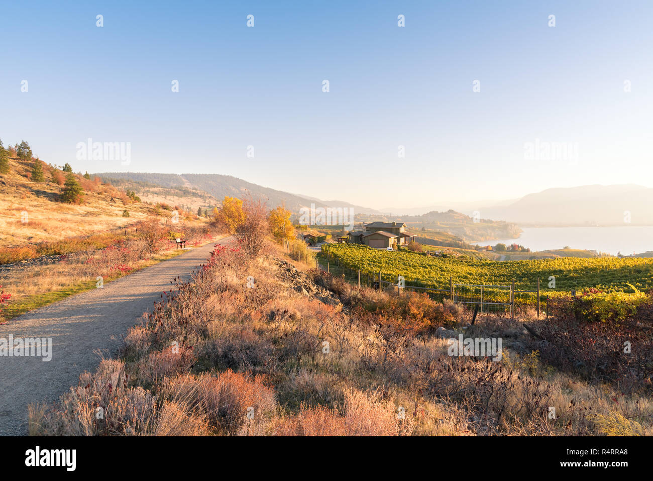 Puesta de sol vista otoñal de Kettle Valley Rail Trail, viñedos, Okanagan Lake y montañas Foto de stock