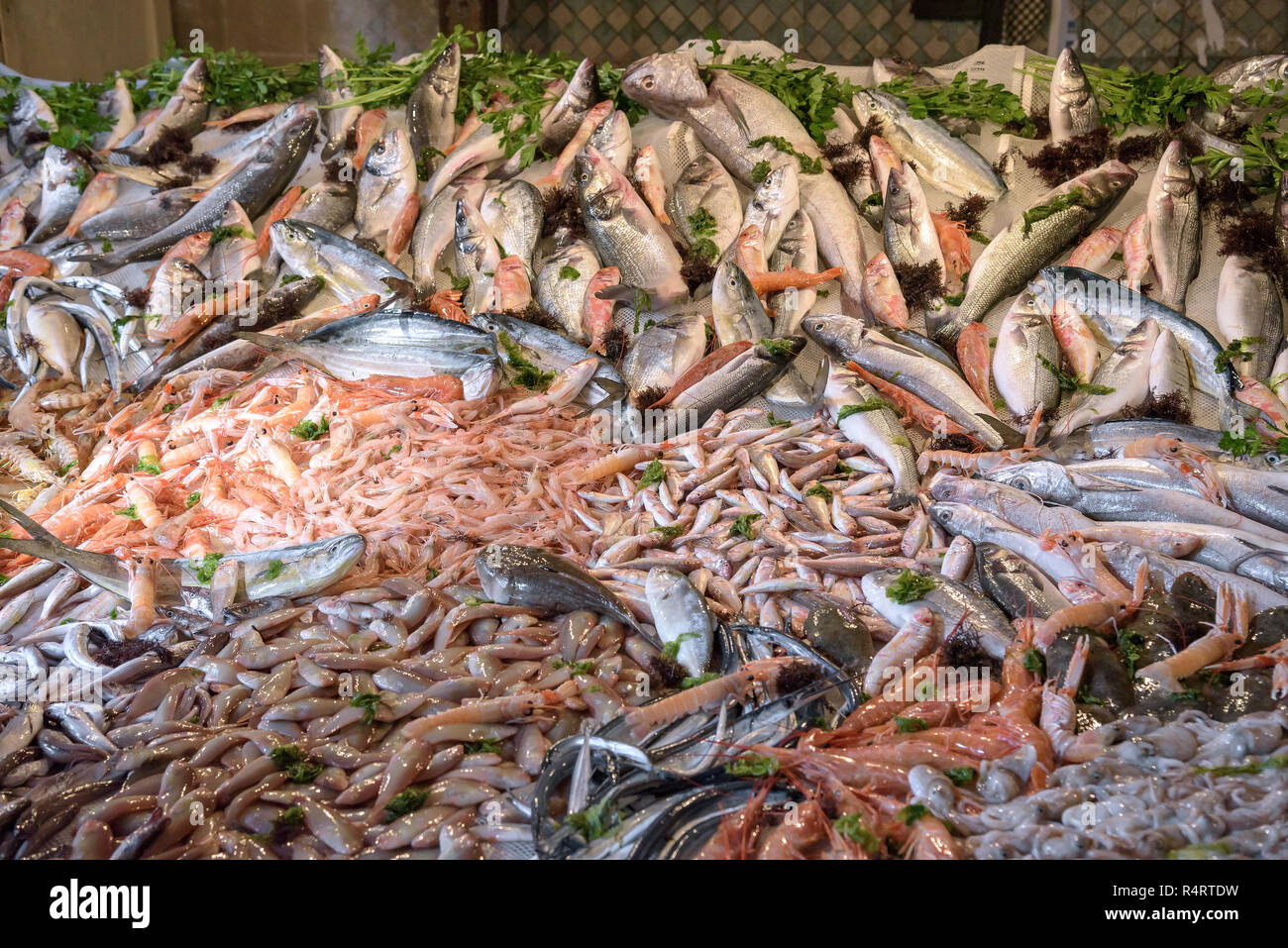 Los peces, camarones y otros mariscos en el mercado de pescado Fotografía  de stock - Alamy