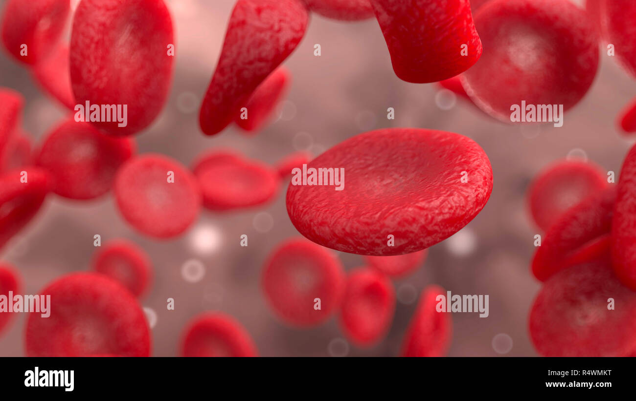 Glóbulos rojos (eritrocitos) bajo el microscopio. 3D Render ilustración Foto de stock