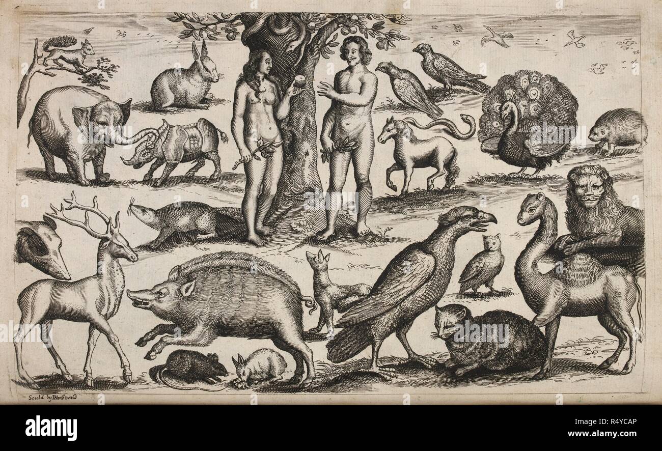 Adán y Eva, y diversos animales. La reservé este hotel de bestias ... P. Stent: Londres, [1560?]. Fuente: 432.k.1, placa 159. Foto de stock