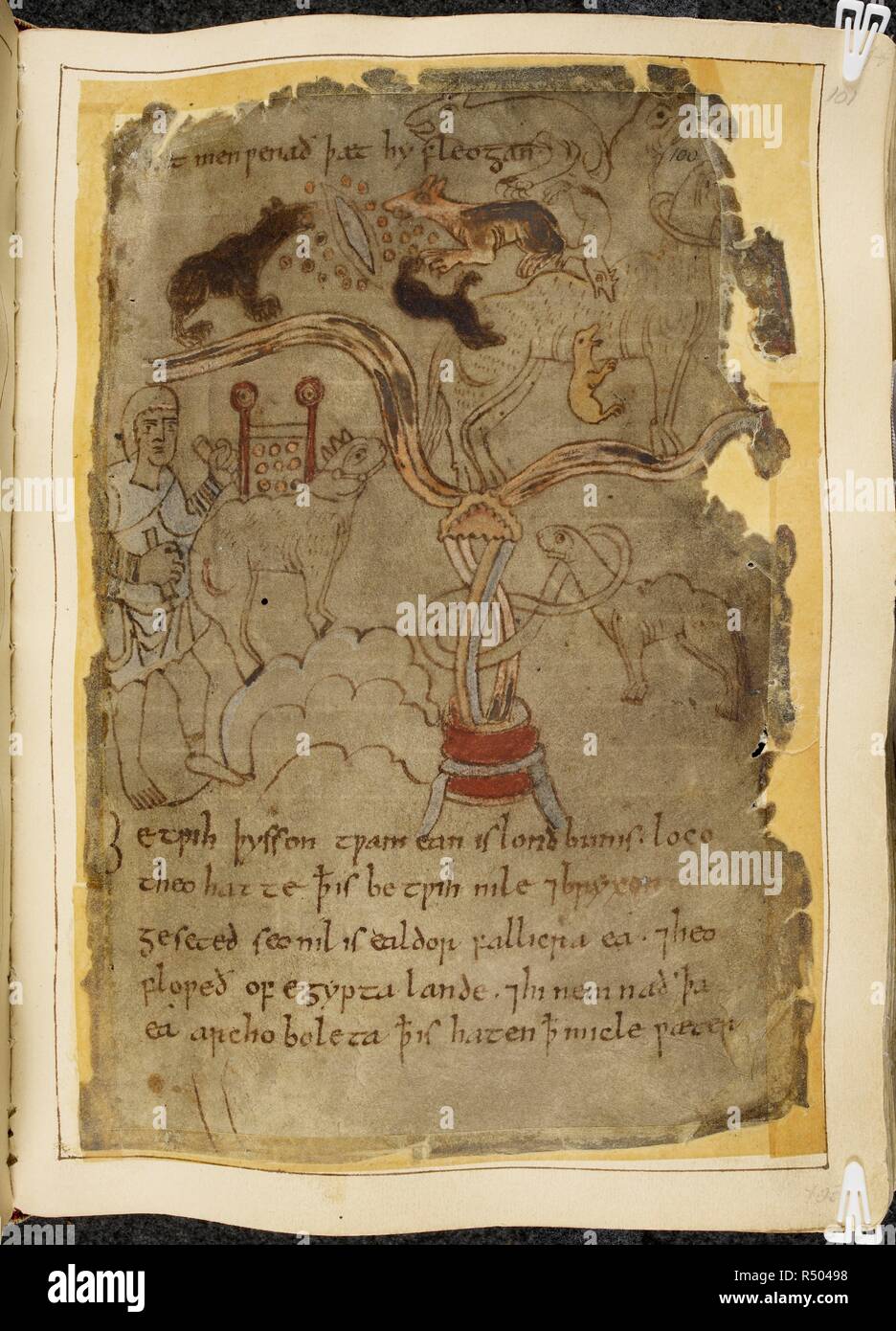 Texto Manuscrito Y Dibujo S Beowulf Circa 1000 Fuente Cotton Vitellius A Xv F 101 Idioma Anglosajon Fotografia De Stock Alamy