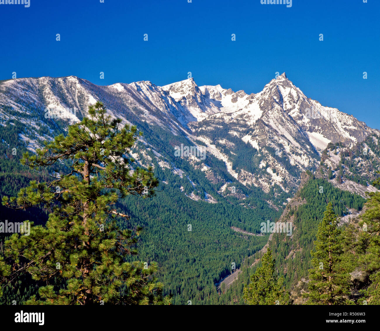 Trapper Pico En Las Montanas Cerca De Bitterroot Conner Montana Fotografia De Stock Alamy