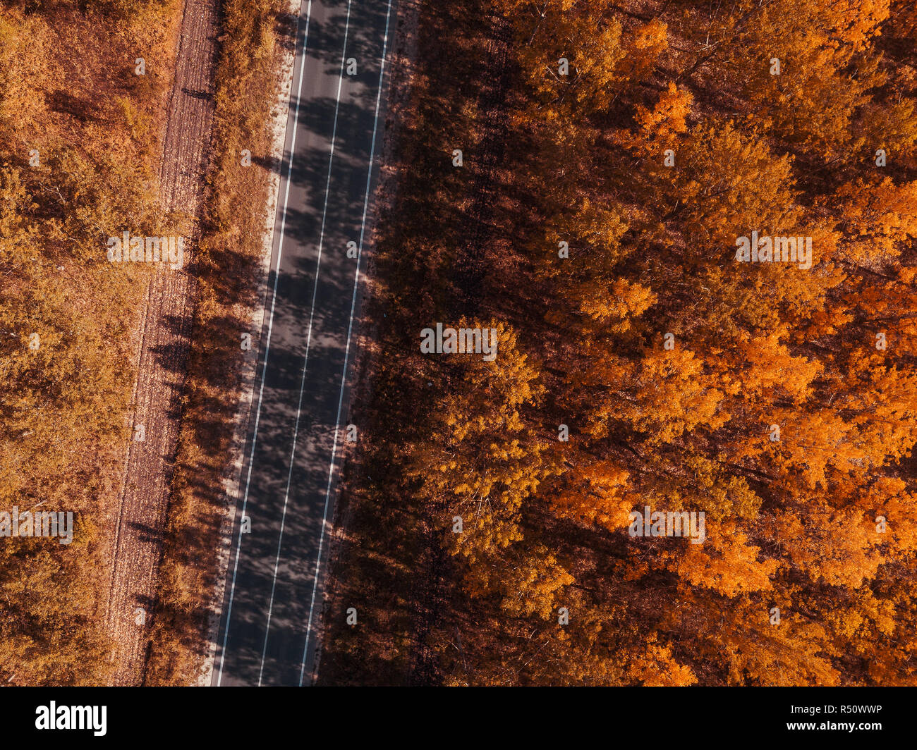 Vista aérea de la carretera vacía a través del bosque en otoño, verano indio escenario desde el punto de vista de drone Foto de stock