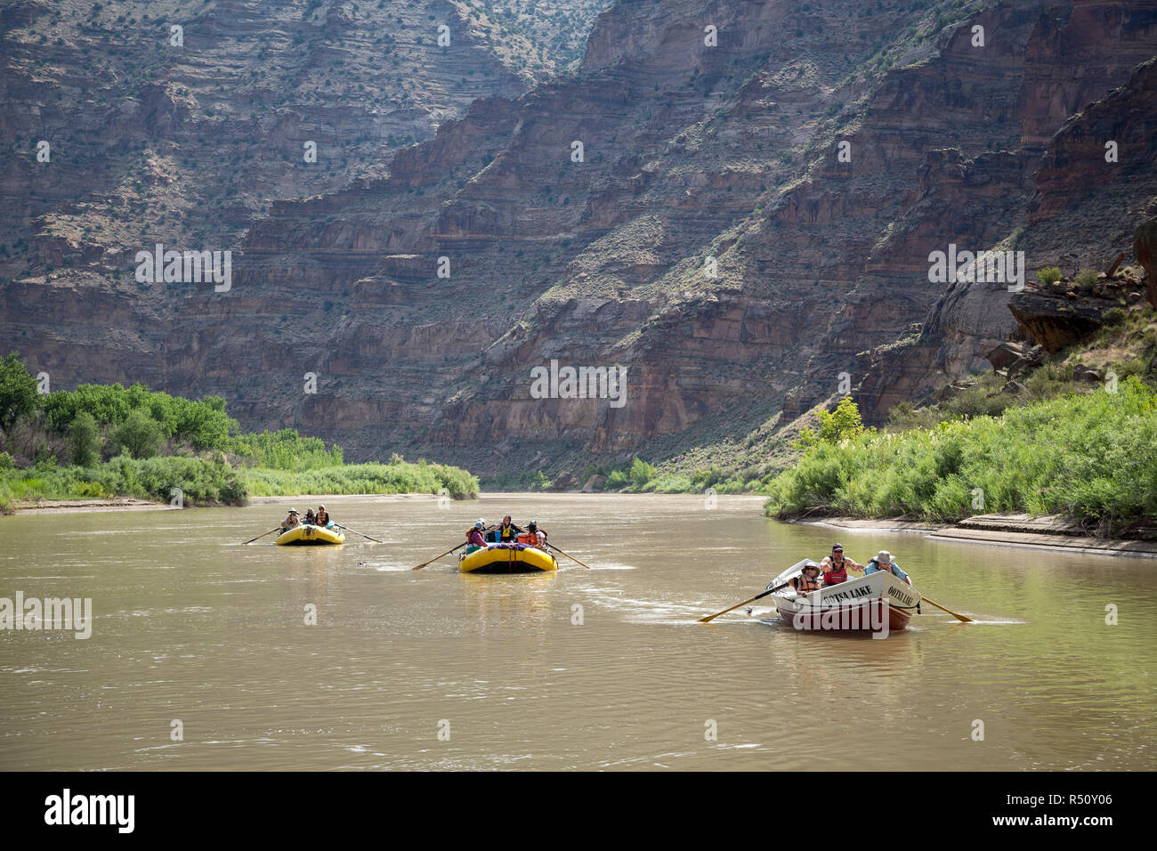 La gente en balsas y botes de remo en Green River en desolación/Gris sección Canyon, Utah, EE.UU. Foto de stock