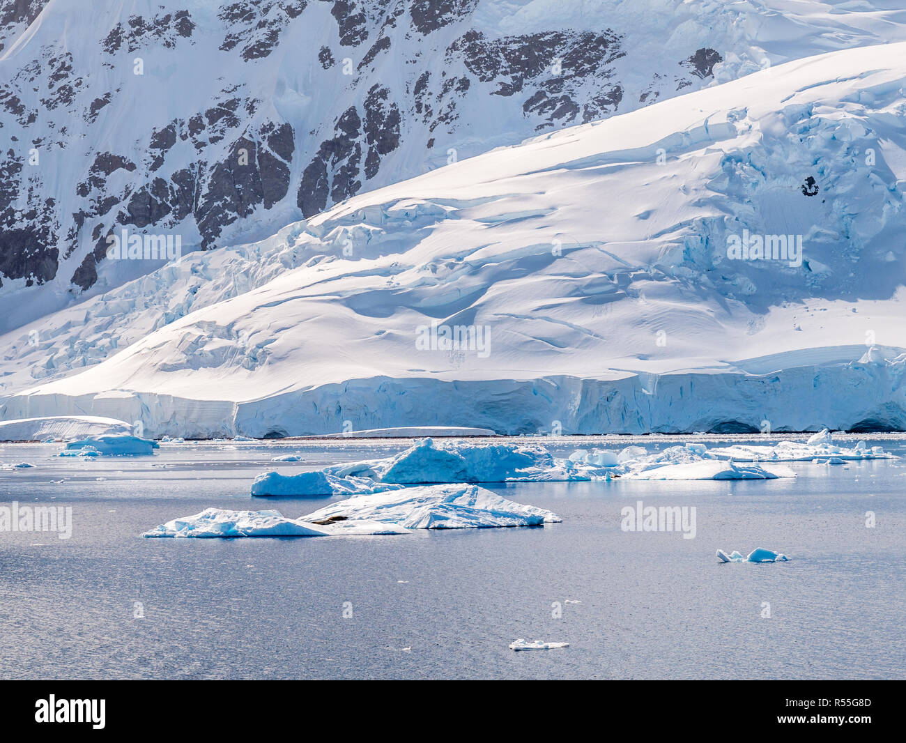 Juntas de témpanos que flotan en la Bahía Andvord Neko Harbour, cerca de la Península Antártica, en la Antártida Foto de stock