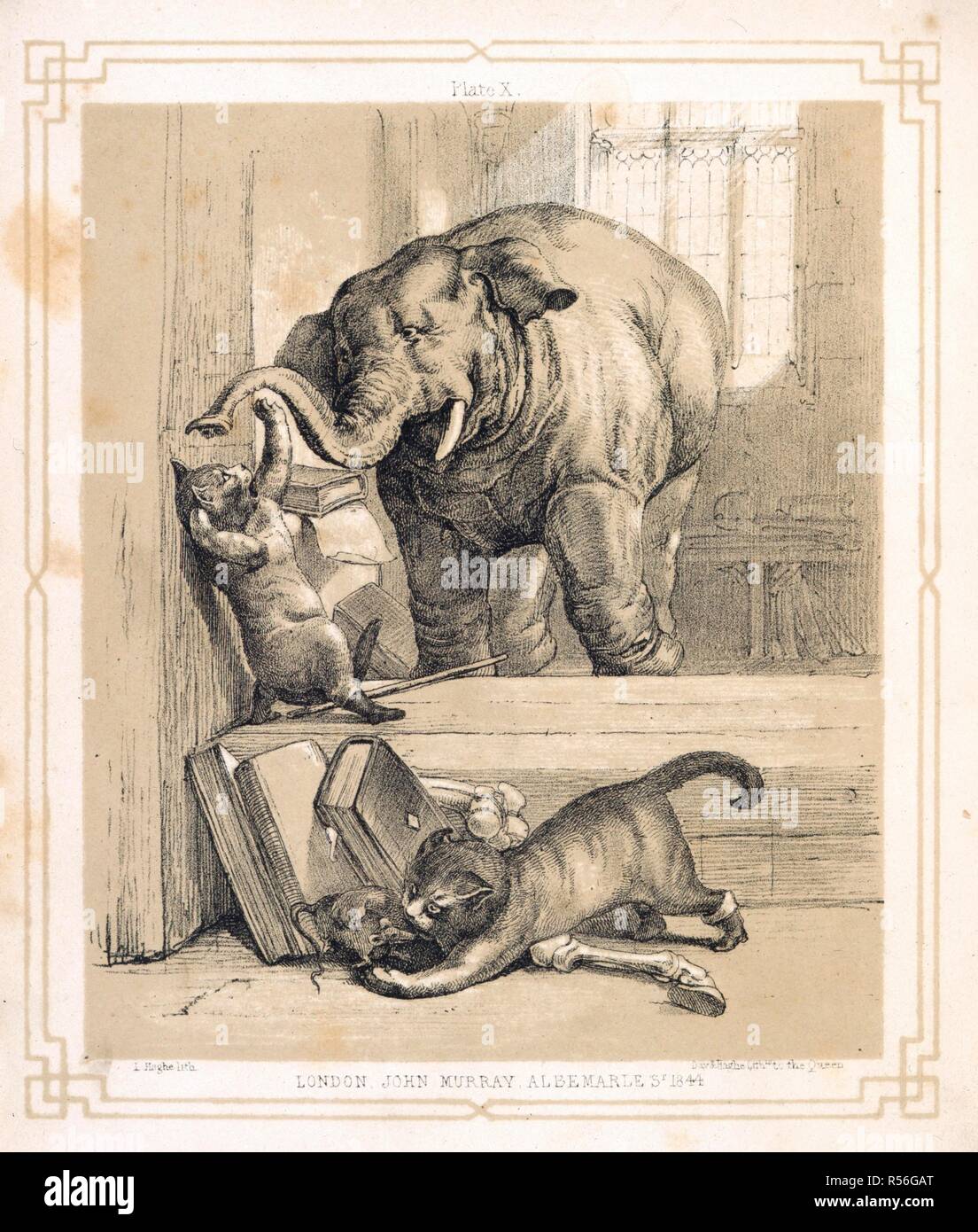 Elefante y gatos. Gato con Botas y el marqués de Carabas. Illustra. John  Murray, Londres, 1847. Un gato jugando con un elefante. Otro gato con un  ratón. Imagen tomada desde el Gato