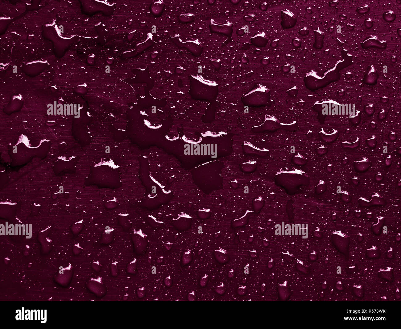 Tyrian fondo púrpura con gotas de lluvia Foto de stock
