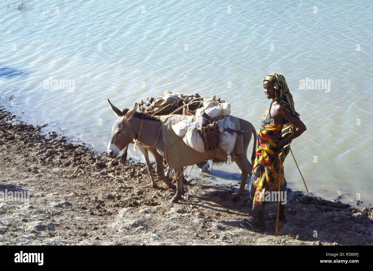 Una mujer somalí y su burro por el agua cerca de Belet Weyne Somalia durante el funcionamiento continúe Esperanza en 1993 Foto de stock
