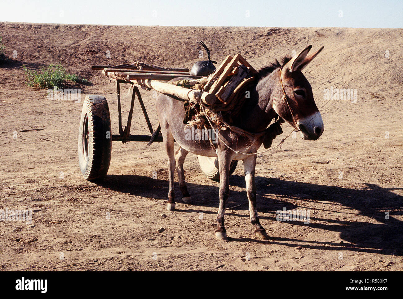 1993 - una carreta de burro en la aldea cerca de Belet Weyne, Somalia. Foto de stock