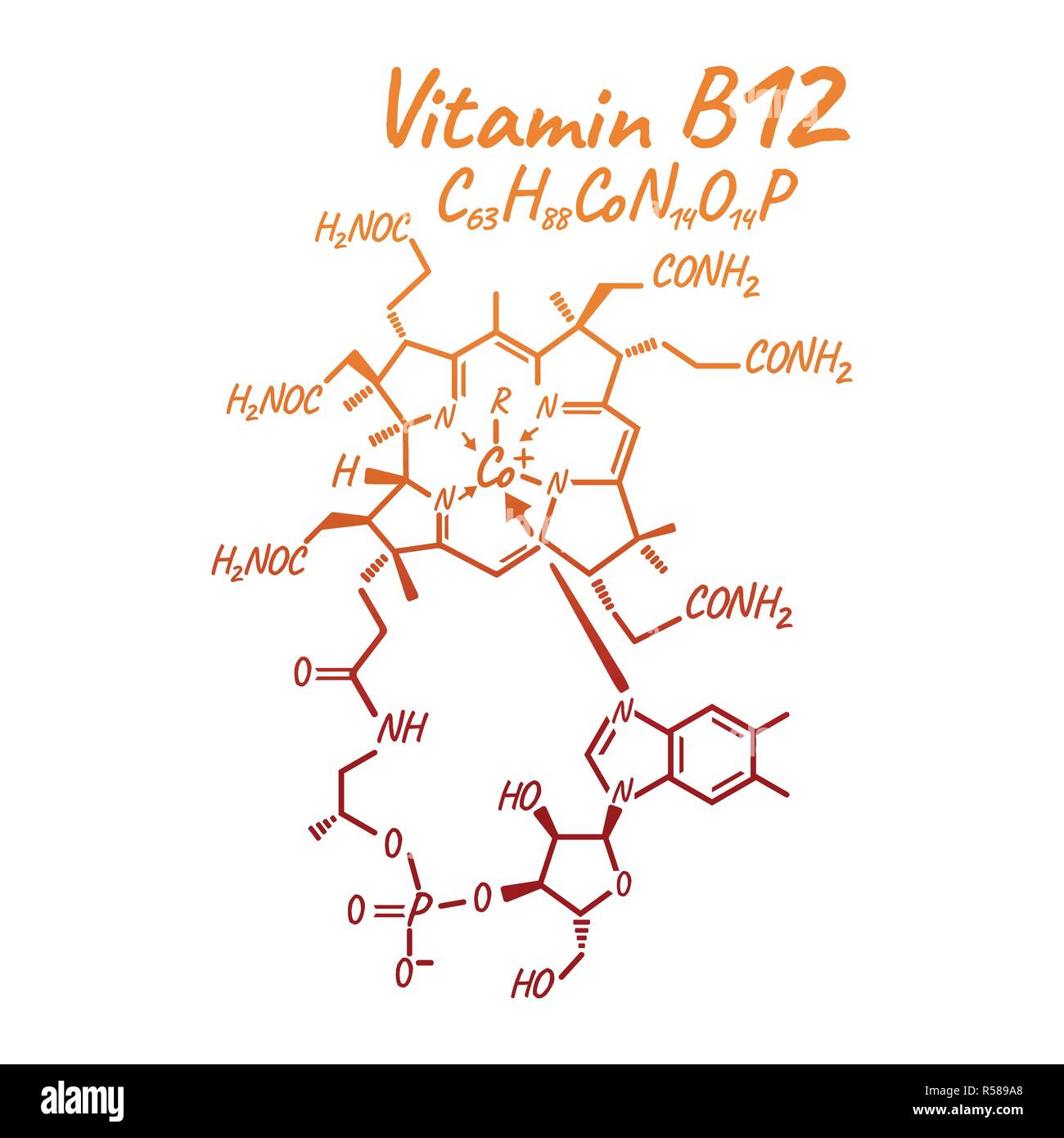 vitamina b12 alfa