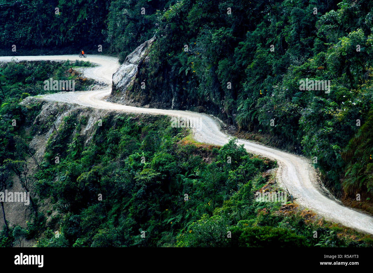 Bolivia, carreteras más peligrosas del mundo, la cordillera de Los Andes,  Ciclista de montaña, Yungas Fotografía de stock - Alamy