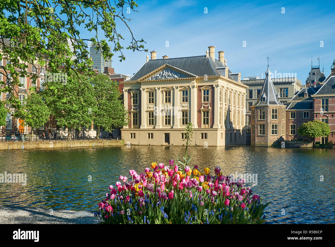 Mauritshuis en Binnenhof en La Haya, Holanda Meridional, Holanda, Benelux Foto de stock