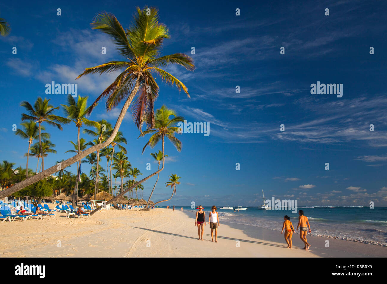 República Dominicana, la zona de Punta Cana, Bávaro, Bávaro Beach, palm Foto de stock