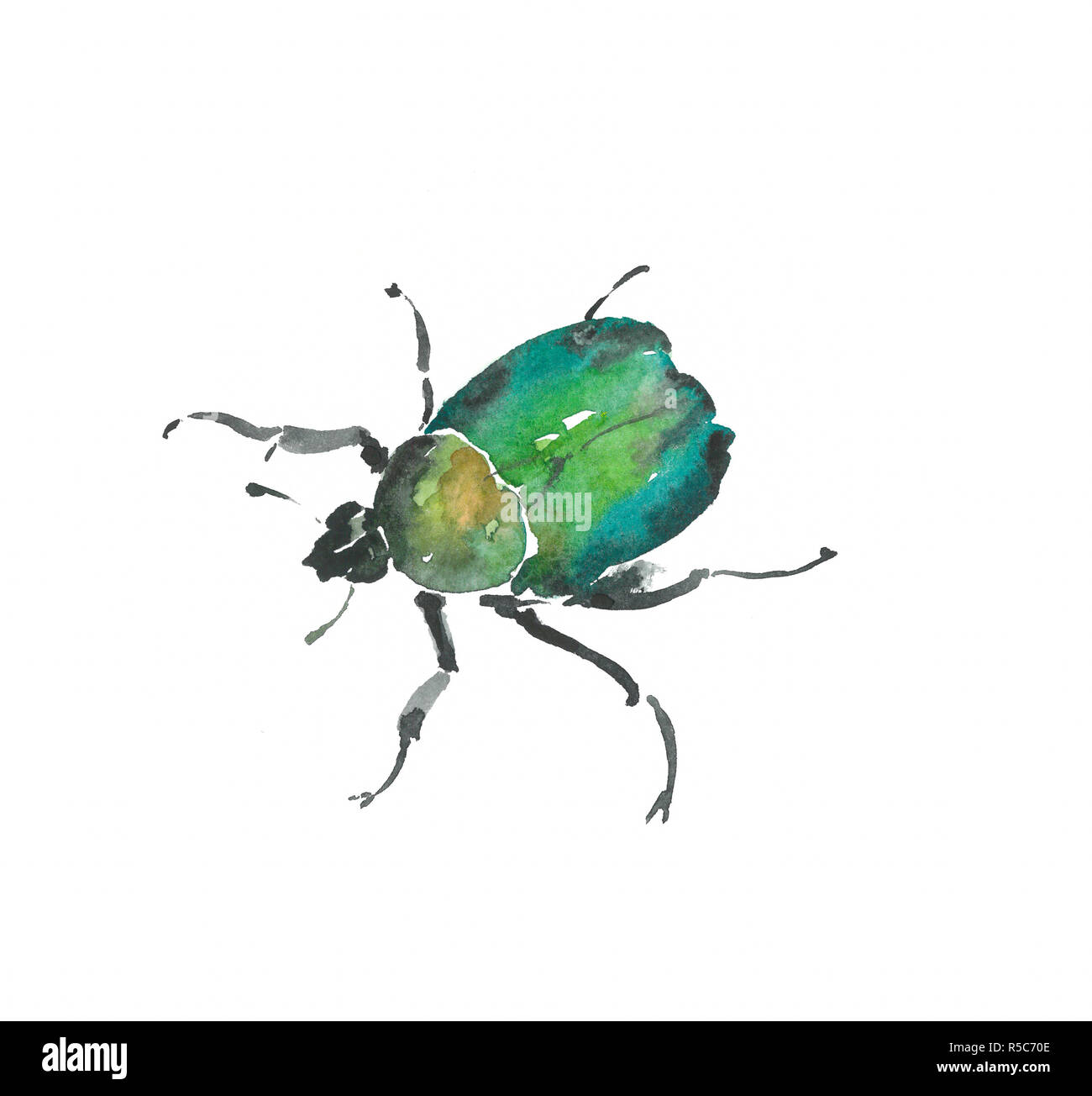 Acuarela de insectos fotografías e imágenes de alta resolución - Alamy