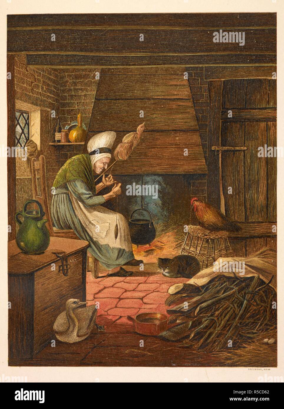 El Patito Feo La Anciana Con Shortlegs Cuco Y El Gato Que No Se Asocian Con