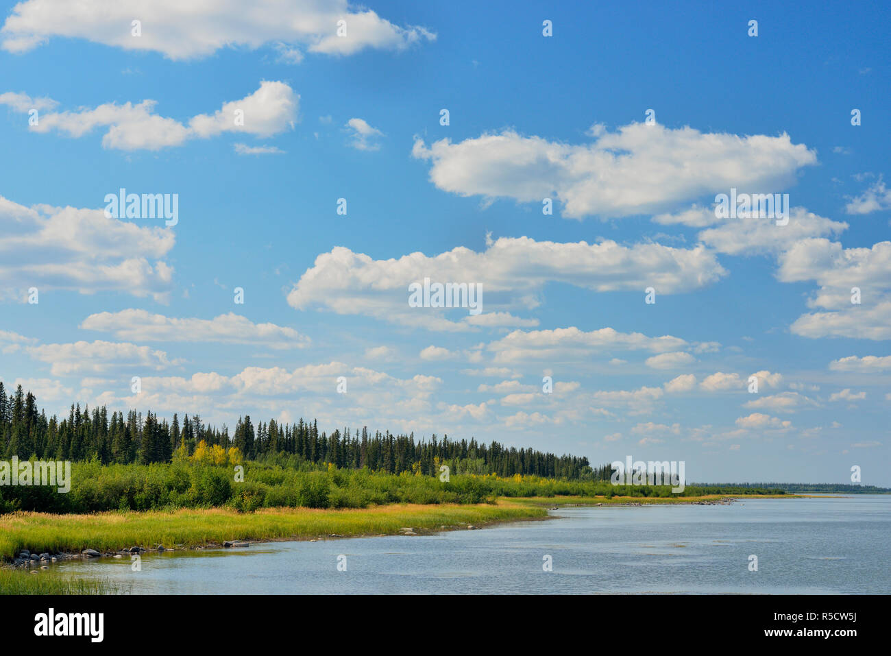 Río MacKenzie, Fort Providence, Territorios del Noroeste, Canadá Foto de stock
