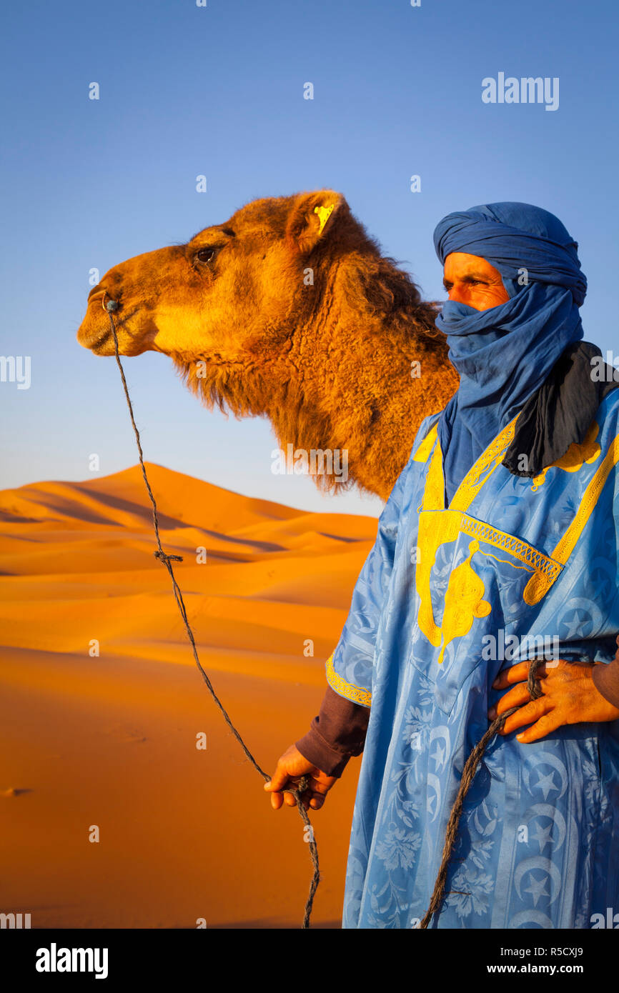 Conductor de camello, el desierto del Sahara, Merzouga, Marruecos (MR) Foto de stock