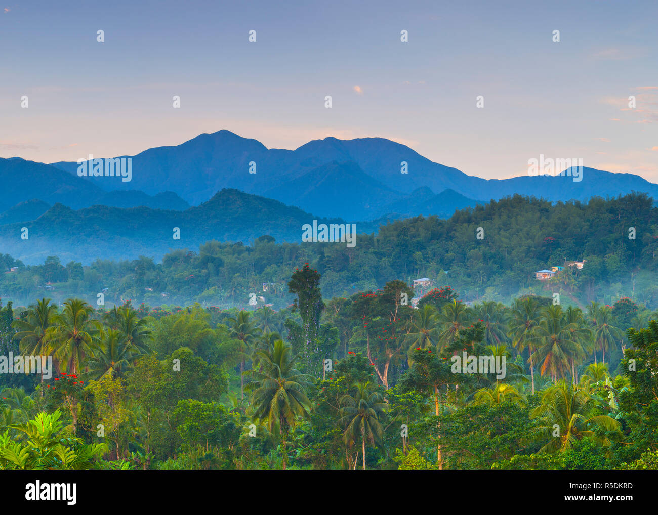 Montañas Azules, parroquia de Portland, Jamaica, el Caribe Foto de stock