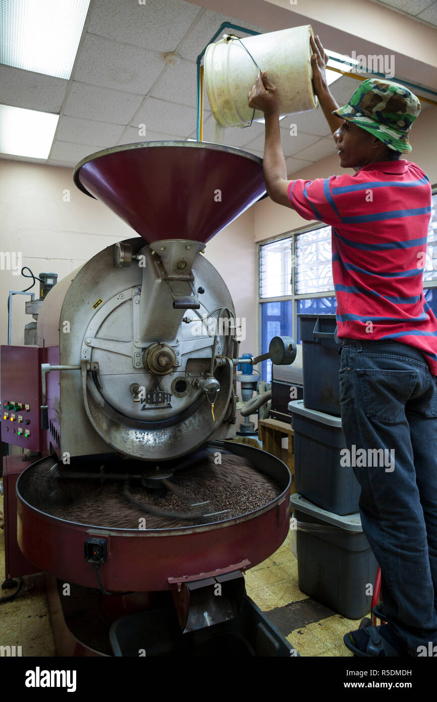 Jamaica blue mountain coffee beans fotografías e imágenes de alta