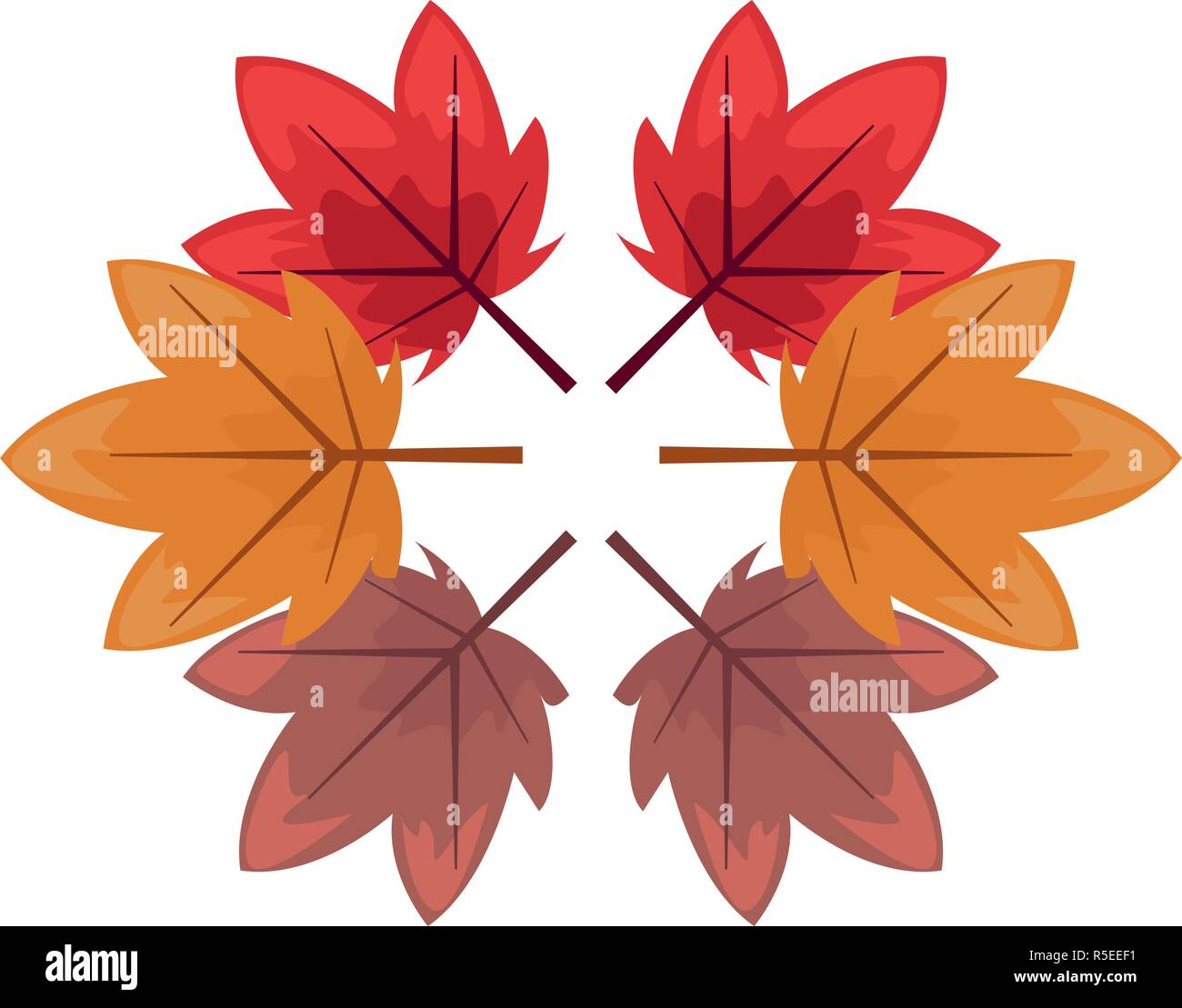 Tipos De Hojas De Color De Fondo Decoracion Ilustracion Vectorial Imagen Vector De Stock Alamy