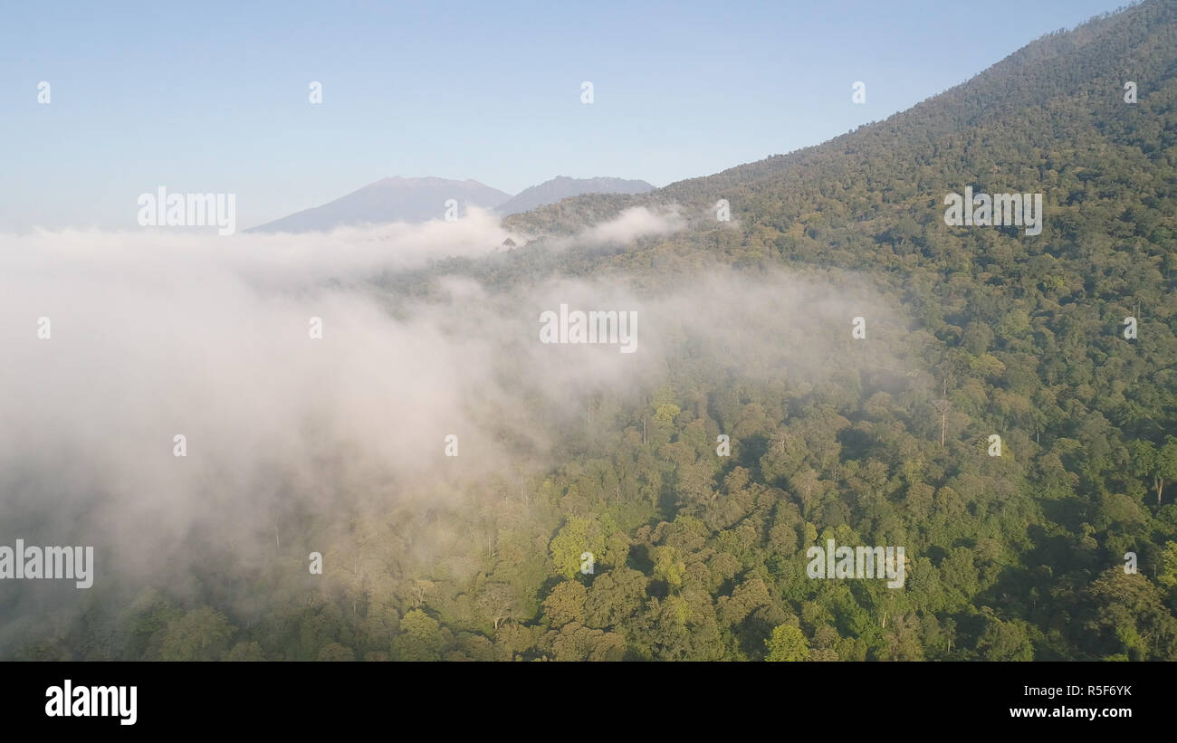 Vista aérea de la selva tropical cubierto de nubes con exuberante vegetación y montañas de la isla de Java. El paisaje tropical, la selva tropical en la zona montañosa de Indonesia. verde, exuberante vegetación. Foto de stock
