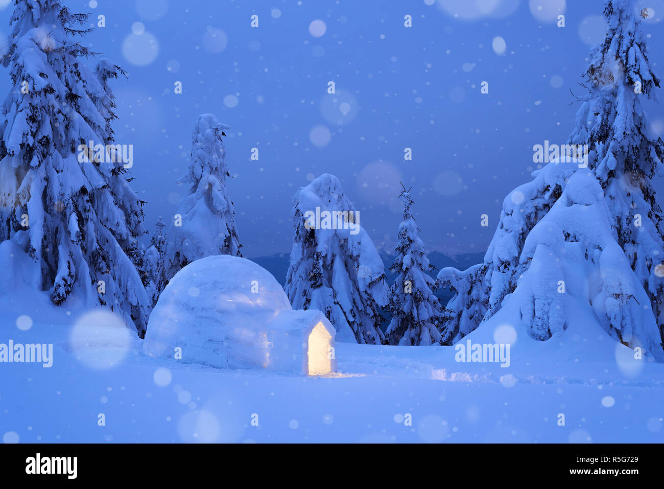 Escena de Invierno de ensueño con un iglú de nieve. Vista nocturna con abetos nevados y ventisquero. Las nevadas en un bosque de montaña Foto de stock