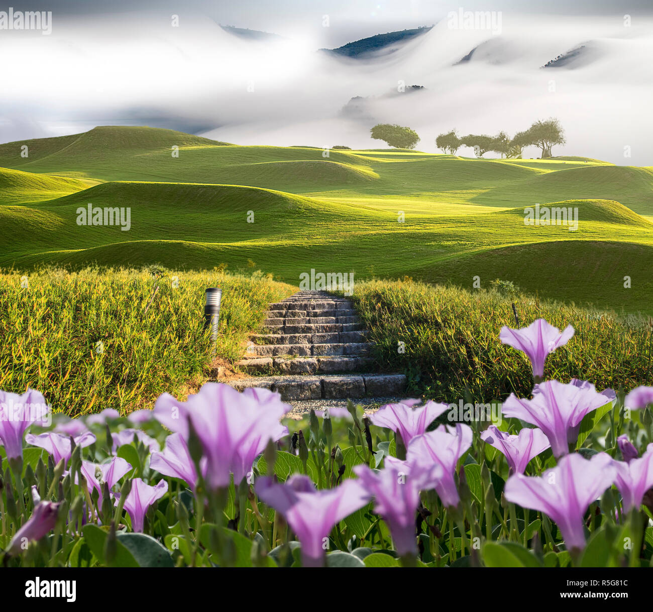 Hermoso paisaje con bonito color de fondo Fotografía de stock - Alamy