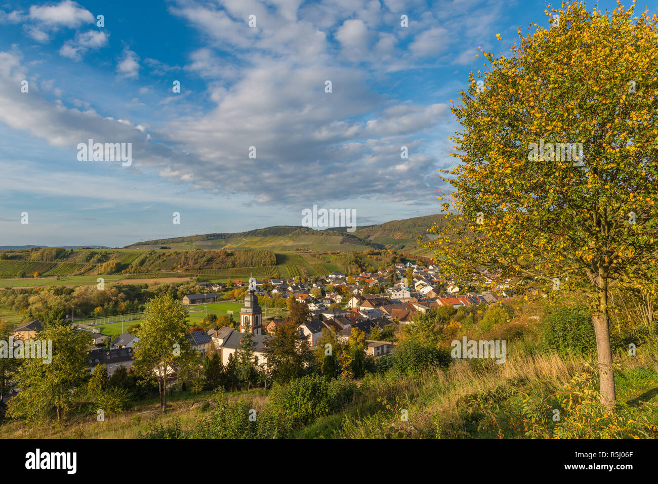 La aldea de Irsch, Saarburg, en medio de los viñedos y el paisaje montañoso de Rhineland-Palantine, Alemania, Europa Foto de stock