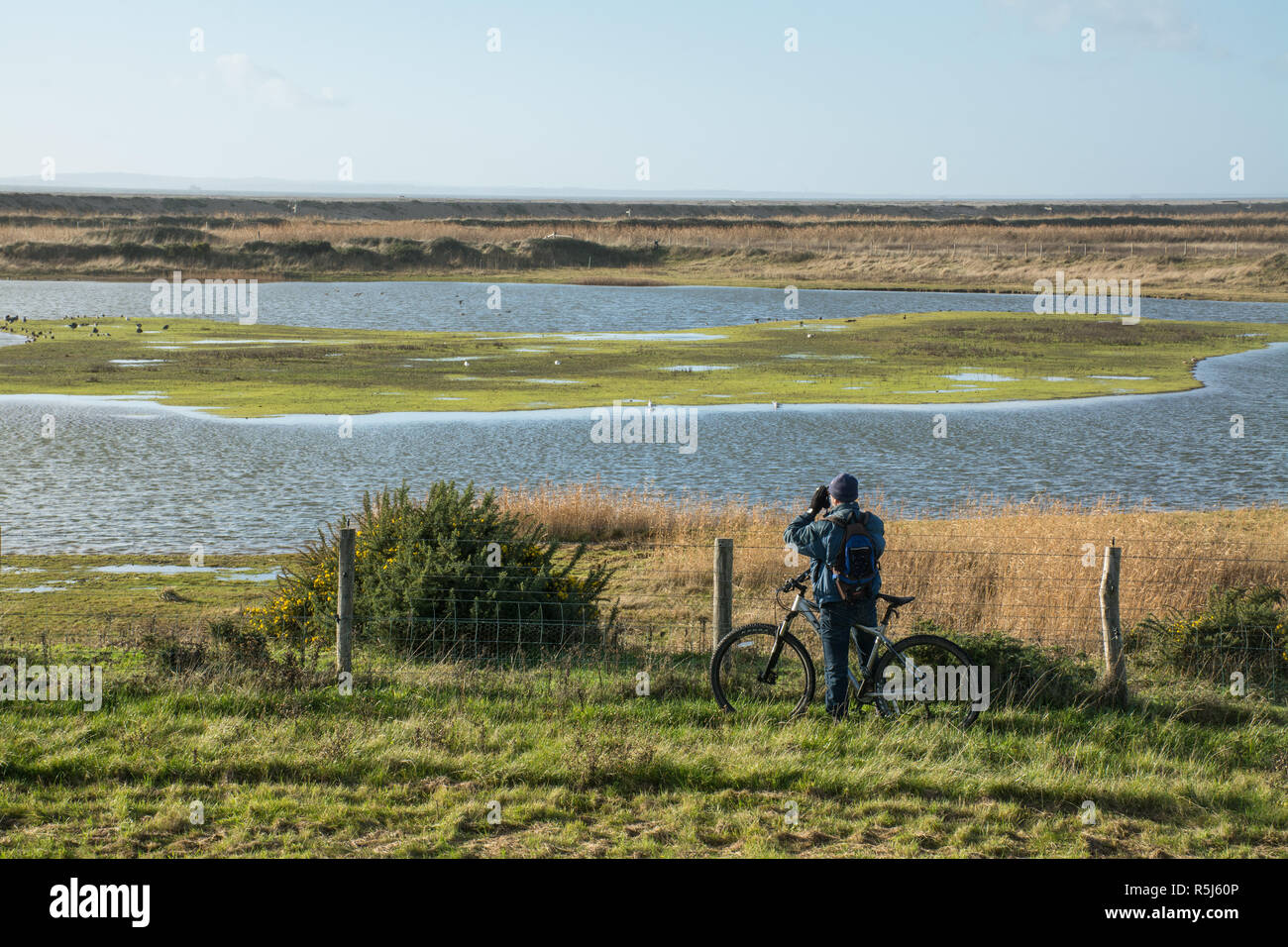 RSPB Medmerry Reserva Natural por la costa, West Sussex, Reino Unido. Birdwatcher sobre una bicicleta mirando a los pájaros en las piscinas en zancos a través de unos prismáticos Foto de stock