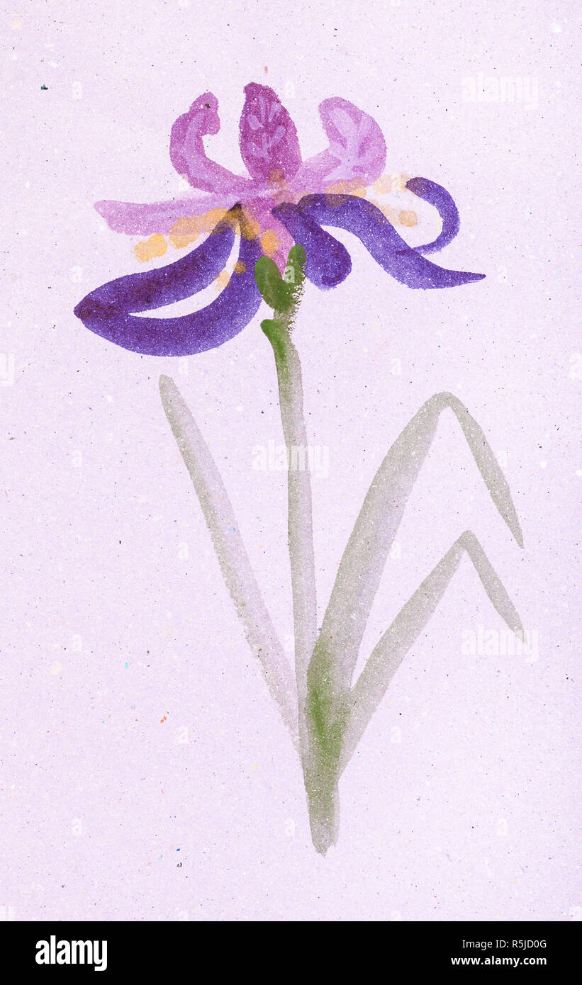 Iris flor de papel de color rosa Fotografía de stock - Alamy