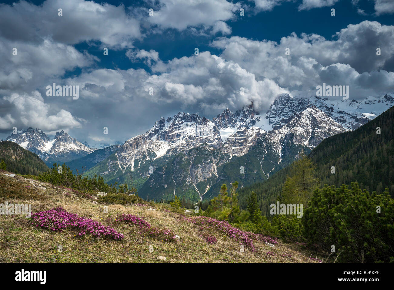 Los Dolomitas en la primavera Foto de stock