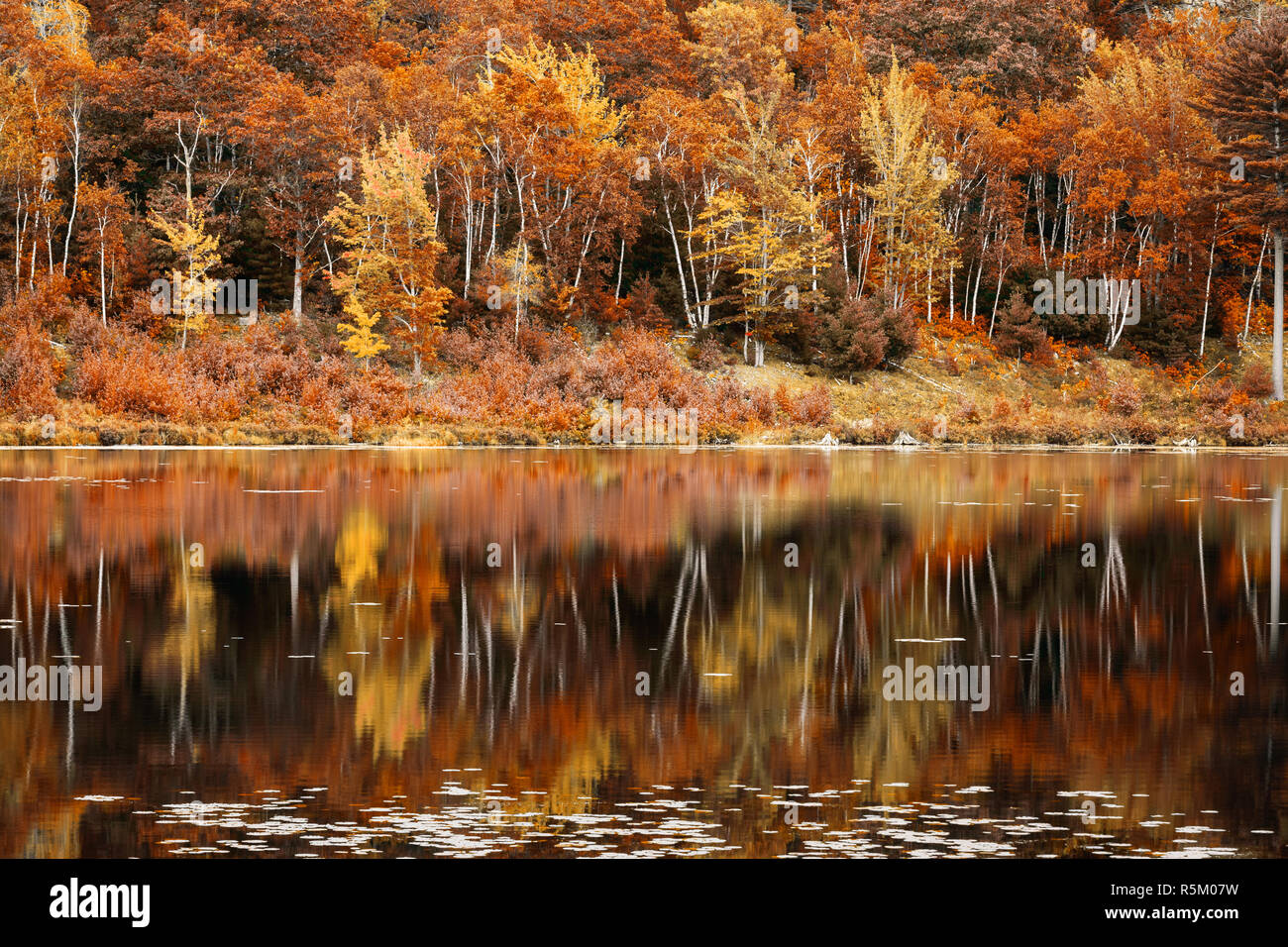 El follaje de otoño reflexión en Jordania Pond, Maine Foto de stock