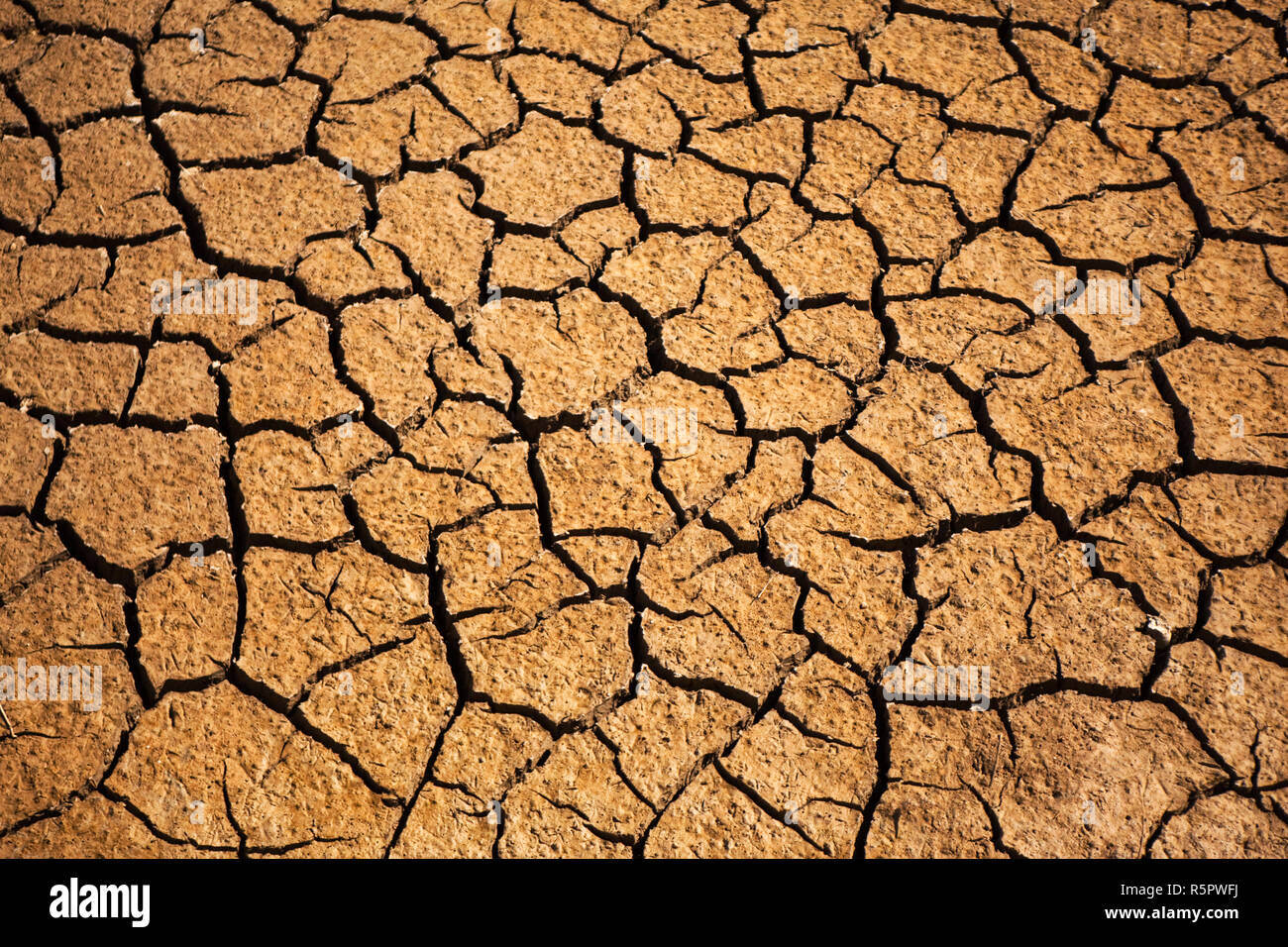 Cerca de tierra seca Foto de stock