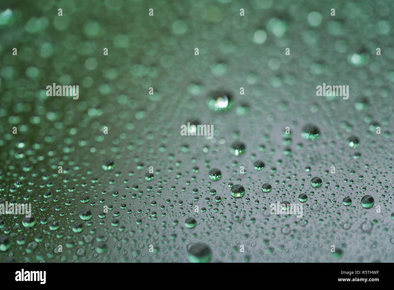 Closeup gotas de lluvia sobre alquiler de vidrio con recubrimiento hidrofóbico. Foto de stock