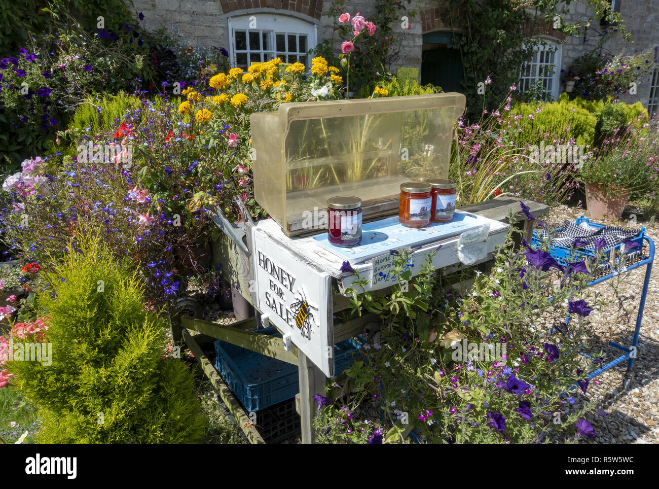 Tarros de miel en venta en frente de la casa de campo en el Castillo de Corfe en la Isla de Purbeck, Dorset, Inglaterra, Reino Unido Foto de stock