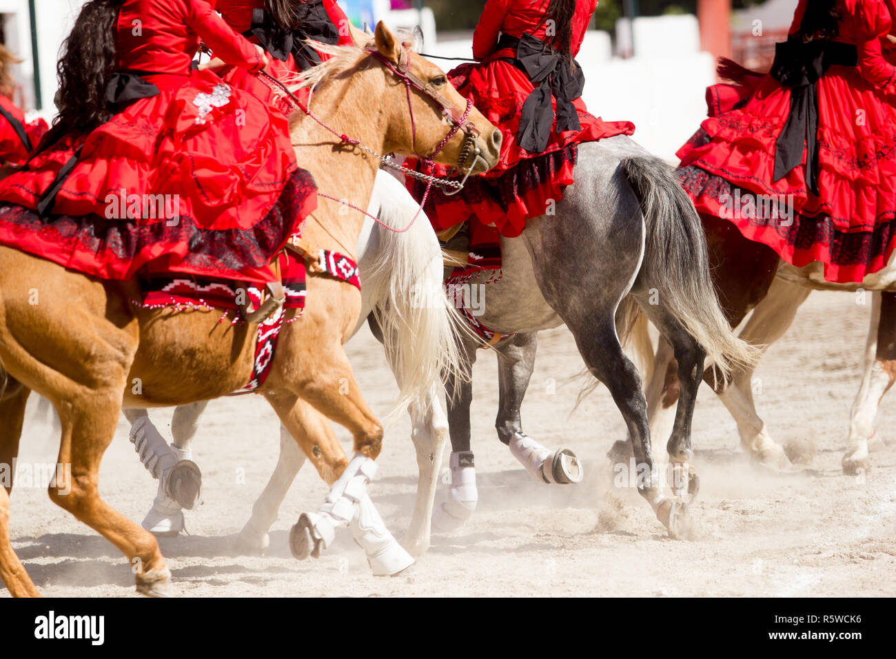 Un grupo de niñas escaramuza mexicano con rojo vestidos mexicanos van a  caballo sobre un rodeo Fotografía de stock - Alamy