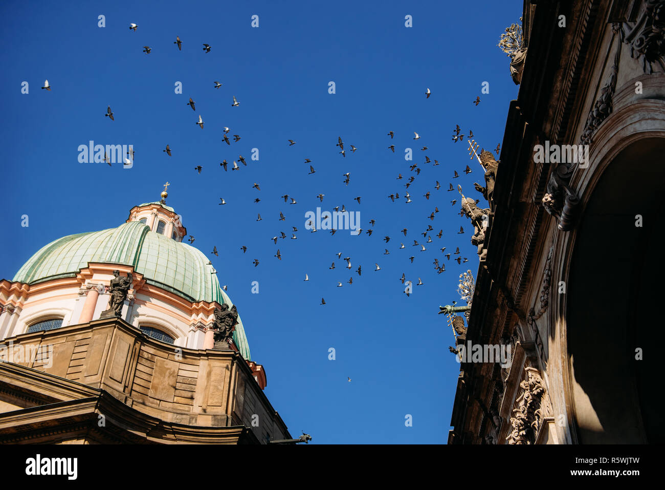 Bandada de aves volando por encima de una catedral, Praga, República Checa Foto de stock