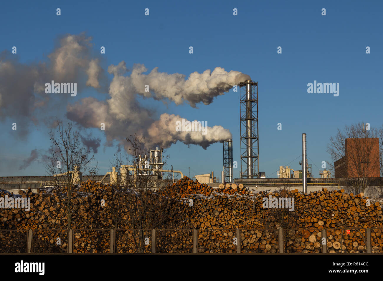 Fumar chimeneas planta de procesamiento de madera sobre un fondo de cielo azul Foto de stock