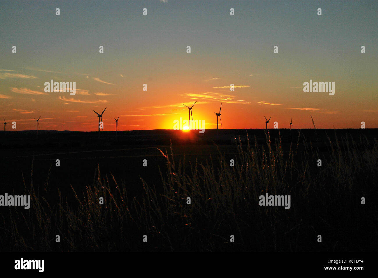 Windräder bei Sonnenuntergang Foto de stock