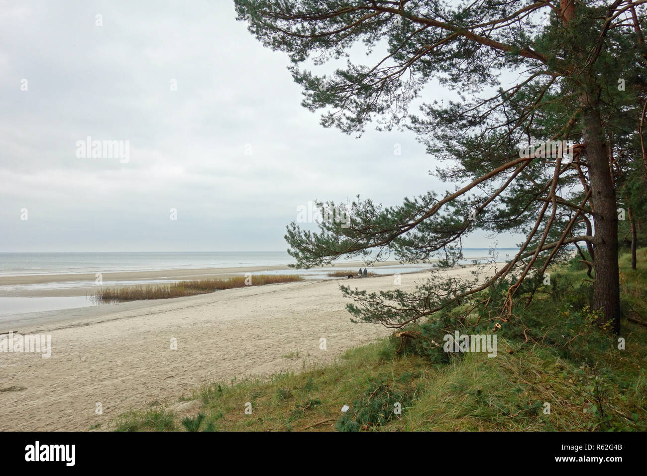 Romántica costa del mar Báltico Foto de stock